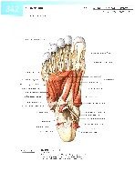 Sobotta  Atlas of Human Anatomy  Trunk, Viscera,Lower Limb Volume2 2006, page 349